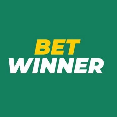 Exploring the Thrills of Betting with बेट विनर Exploring the Thrills of Betting with बेट विनर